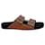 Isabel Marant Lennyo Eyelet-Embellished Sandals in Brown Leather  ref.1291884