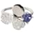 TIFFANY & CO. Paper Flowers Tanzanite Fashion Ring in  Platinum 0.3 ctw Silvery Metallic Metal  ref.1293317