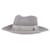 Maison Michel Fedora Hat in Grey Wool  ref.1293907