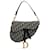 Dior Brown Oblique Canvas Saddle Beige Cloth Cloth  ref.1294282