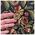 Guy Laroche Jacke mit Blumen Mehrfarben - Ansicht 12