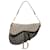 Bolso de hombro Saddle de lona Dior Oblique gris Cuero  ref.1302469