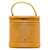 Louis Vuitton Epi Cannes Vanity Case Yellow Pony-style calfskin  ref.1311629