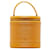 Louis Vuitton Estojo Epi Cannes Vanity Amarelo Bezerro-como bezerro  ref.1311635