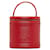 Louis Vuitton Epi Cannes Vanity Case Red Pony-style calfskin  ref.1317252