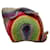 Loewe Borsa a tracolla coniglietto arcobaleno in rafia Verde  ref.1317529