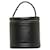 Louis Vuitton Epi Cannes Vanity Bag Black Pony-style calfskin  ref.1317535
