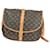 Louis Vuitton Saumur 35 Brown Cloth  ref.1320065