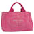 PRADA Canapa PM Hand Bag Canvas Pink Auth 69334 Cloth  ref.1320894