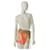 Roberto Cavalli Skirts Multiple colors Synthetic  ref.1323795