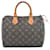 Louis Vuitton Speedy 25 Brown Cloth  ref.1324079
