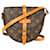 Louis Vuitton Canvas Monogram Chantilly PM Crossbody Bag Brown Leather  ref.1325247