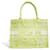 DIOR  Handbags T.  cloth Green  ref.1326354