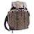 Louis Vuitton Christopher backpack Brown Cloth  ref.1330002