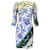 Autre Marque Erdem Blue / ivory / Green Multi Printed Jersey Dress Multiple colors Viscose  ref.1331542