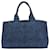 Prada Canapa Blue  ref.1338459