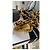 Cambon Vintage Chanel Gürtel Gold hardware - Ansicht 8