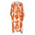 Etro berry print kaftan maxi dress Orange Viscose  ref.1340483