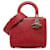 Dior Rojo Medio Cuero Estampado Leopardo Lady Dior Roja Becerro  ref.1343671