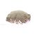 MINORITY Bolsos T.  ante Beige - vista 4