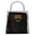 Salvatore Ferragamo Handbags Plastic  ref.1367590