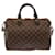 Louis Vuitton Speedy Brown Cloth  ref.1373292