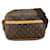 Louis Vuitton Reporter PM Canvas Shoulder Bag M45254 in Good condition Cloth  ref.1375110