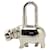 Hermès Hermes Hippopotamus Cadena Lock Charm Metallo Altro in buone condizioni  ref.1394468
