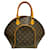 Louis Vuitton Ellipse Brown Cloth  ref.1397009