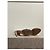 Sandali SOPHIA WEBSTER T.EU 38 Tessuto Multicolore - vista 7