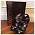 ROBERTO CAVALLI Sandali T.EU 38 Pelle Grigio - vista 7