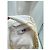 Johnnie Boden Bode supera T.International L Cotton - vista 6