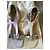 Sandali Nina Ricci in pelle bianchi Bianco - vista 2
