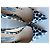 Prada Lackleder Pumps 37 IT Mehrfarben - Ansicht 7