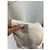 Jason Wu supera T.US 2 Seda Beige - vista 5