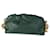 Bottega Veneta Raintree Calfskin Chain Pouch Green Leather  ref.1424239