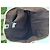 Borsa Tote Gucci Marrone in Tela e Pelle - vista 16