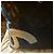 Borsa a mano Chanel Cambon Grande Modello in Pelle Nero e Grigio - vista 4