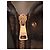 Chaqueta de piel de oveja Dolce & Gabbana bronce con capucha - vista 4