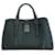 Bottega Veneta Sacs à main Cuir Cuirs exotiques Noir  ref.1441607