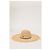 Cappello Big Kate di Maison Michel in rafia beige Marrone Rosso - vista 5