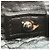 Céline Borsa a spalla con logo Celine Carriage Hardware Marrone - vista 11