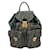 Zucca Fendi Brown Canvas and Leather Backpack Cloth  ref.1465859