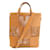 Bolsa Tote Nomade Cognac M85130 da Louis Vuitton Marrom Couro  ref.1467258