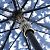 Christian Dior Folding Umbrella - view 6
