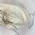 Bottega Veneta 585852 Borsa Kisslock - vista 11