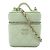 Borsa a spalla Chanel Green Vanity Chain Verde