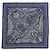 Garden Foulard Hermès 55 Bandana Giardino di Maharani Nero Bianco Blu - vista 5