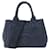 Bolsa Prada Canapa Azul marinho Lona  ref.1493554