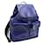 Coach Heritage Blue Leather Backpack  ref.1505010